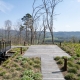 Asheville green roof design by Architects Assembly Architecture + Build