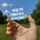 Asheville architecture firm Assembly AB explains invisible solar panels