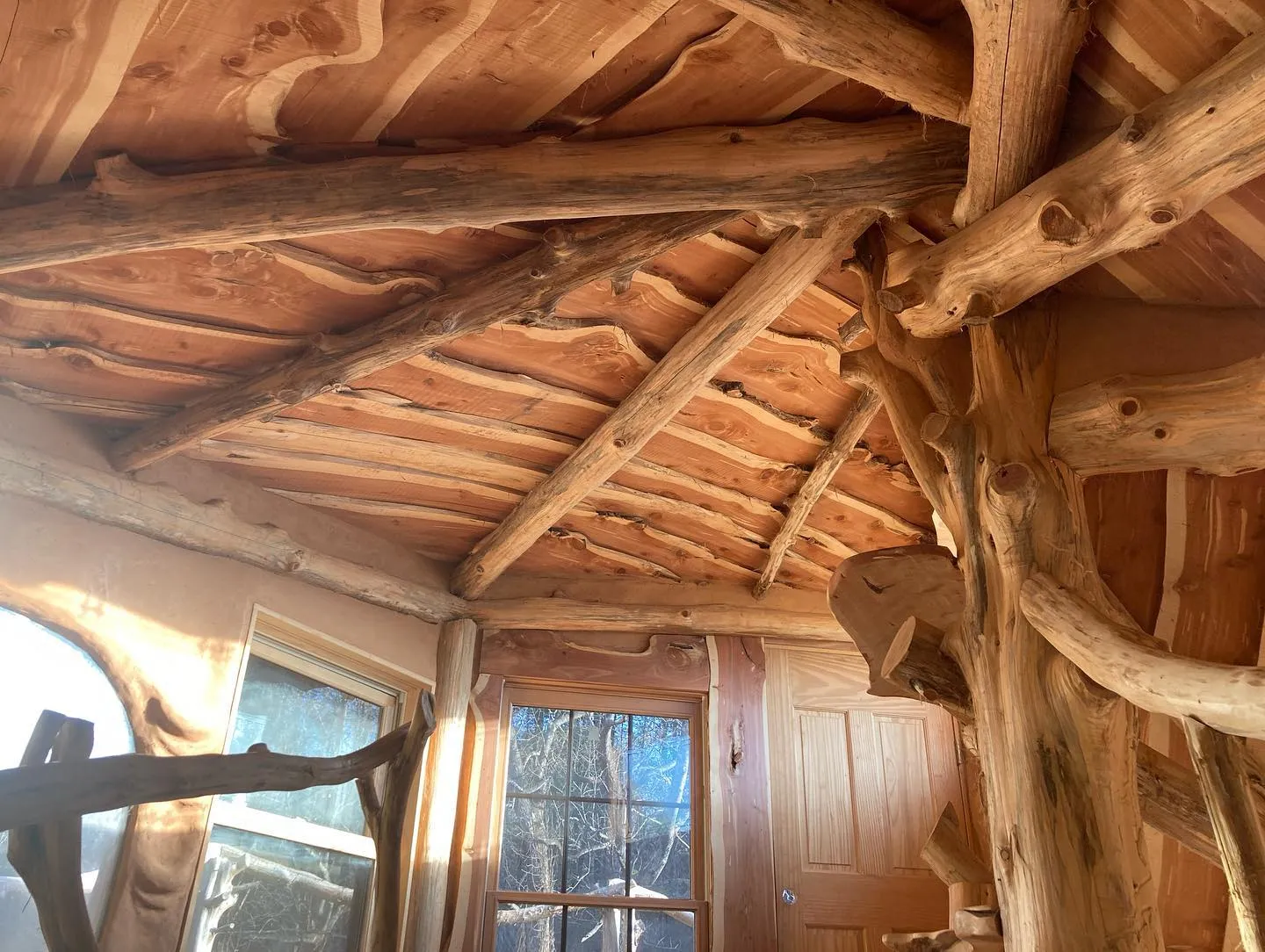 This green roof in Asheville features cedar framing